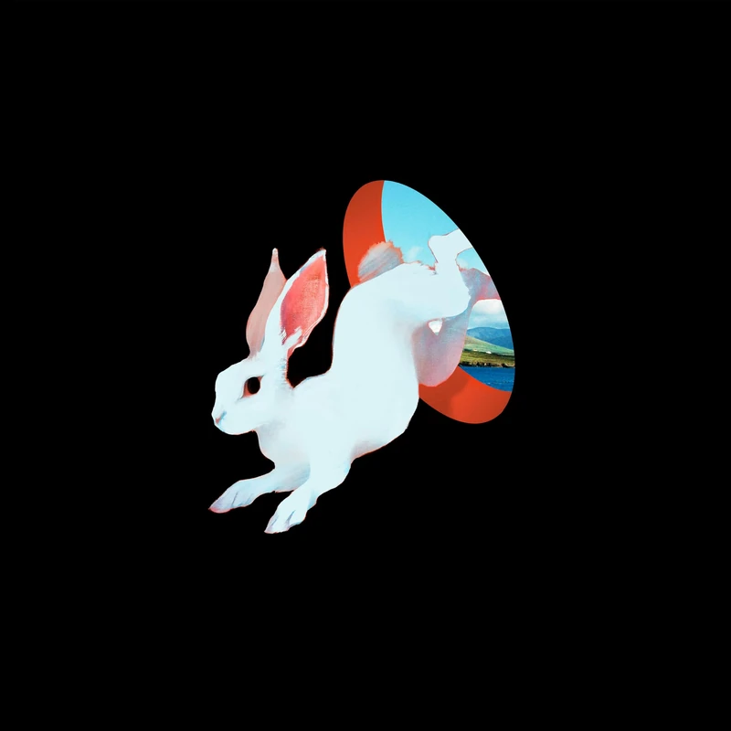 Animal Hospital [Explicit]