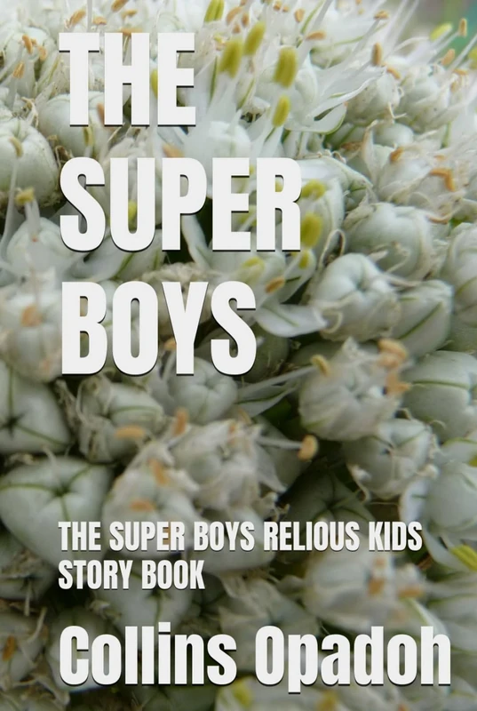 THE SUPER BOYS: THE SUPER BOYS