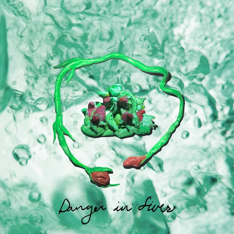 Danger In Fives [VINYL]