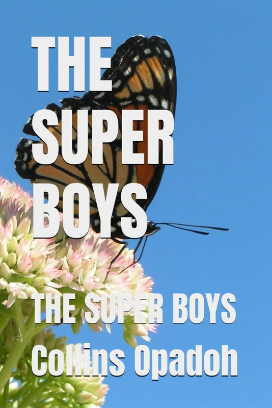THE SUPER BOYS: THE SUPER BOYS