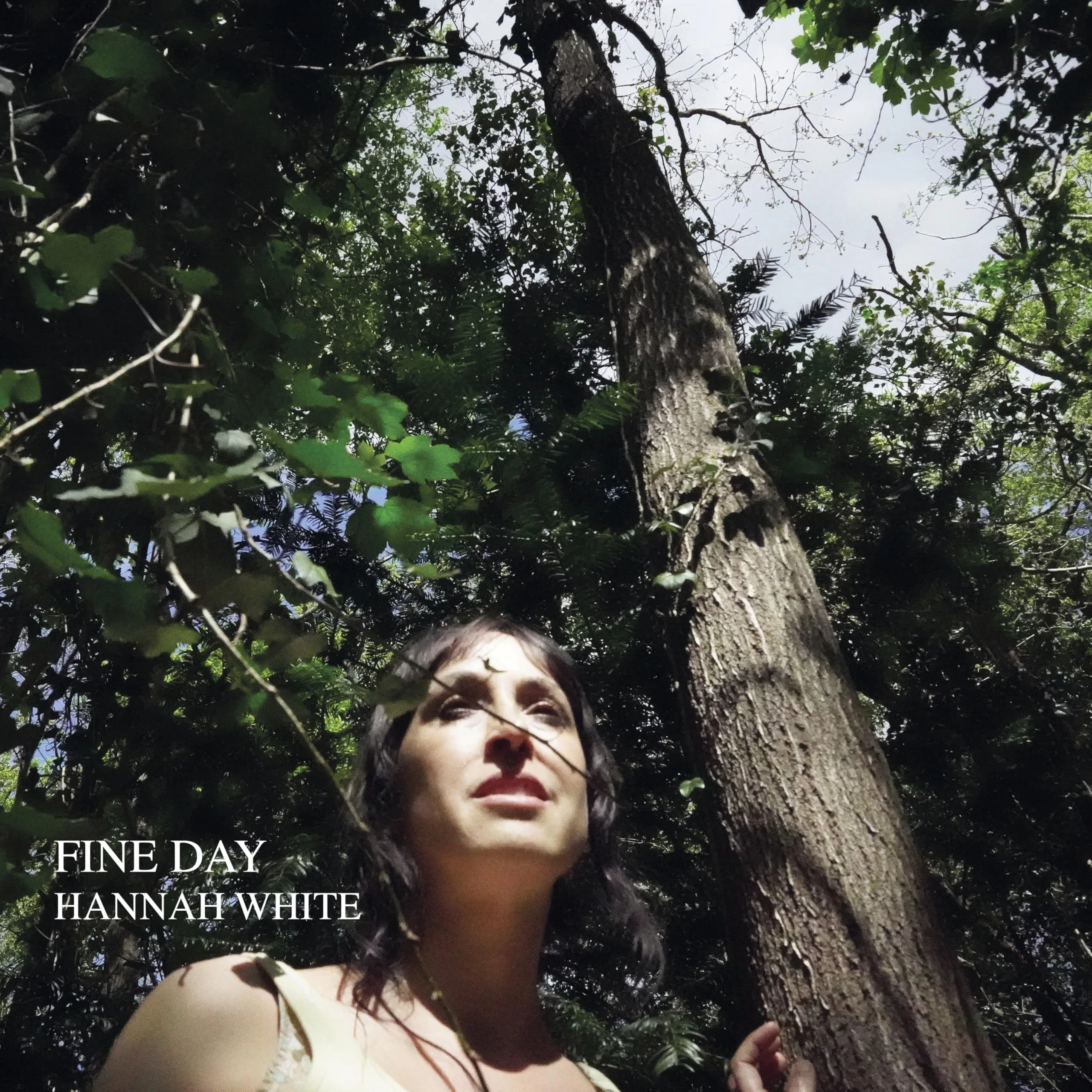 Fine Day [VINYL]