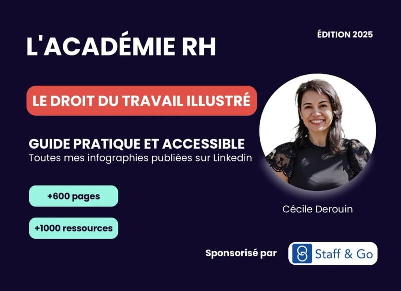 Le Droit du Travail Illustré : Guide Pratique et Accessible: Une année d'infographies par Cécile Derouin