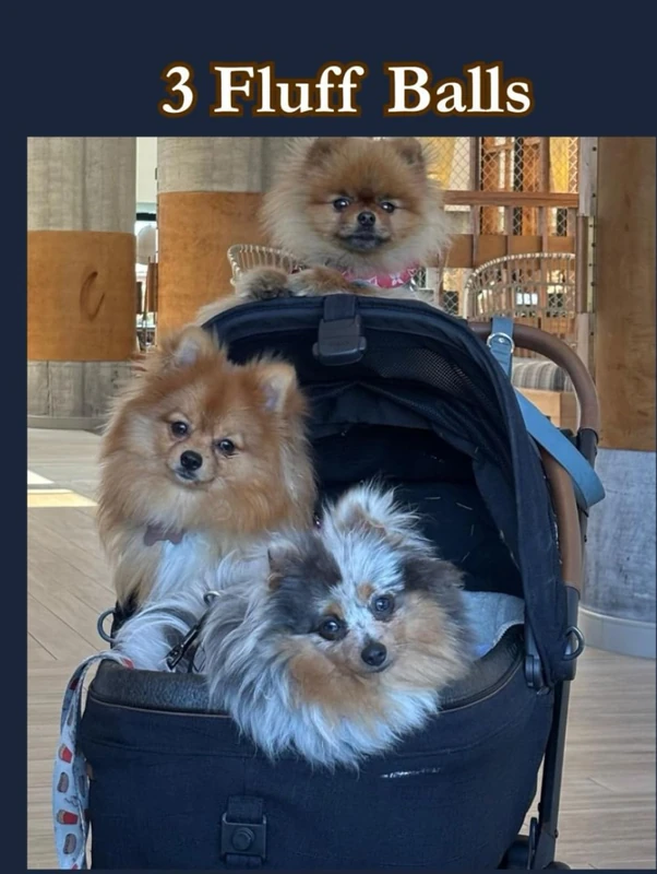 3 Fluff Balls