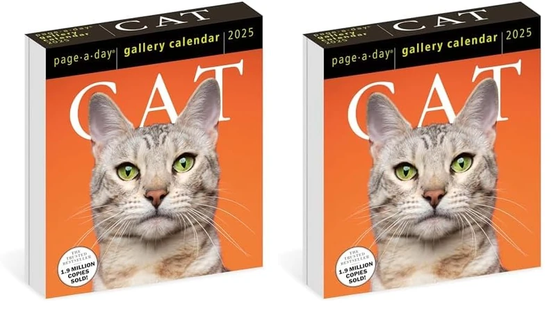 Cat Page-A-Day® Gallery Calendar 2025: A Delightful Gallery of Cats for Your Desktop (Pack of 2)