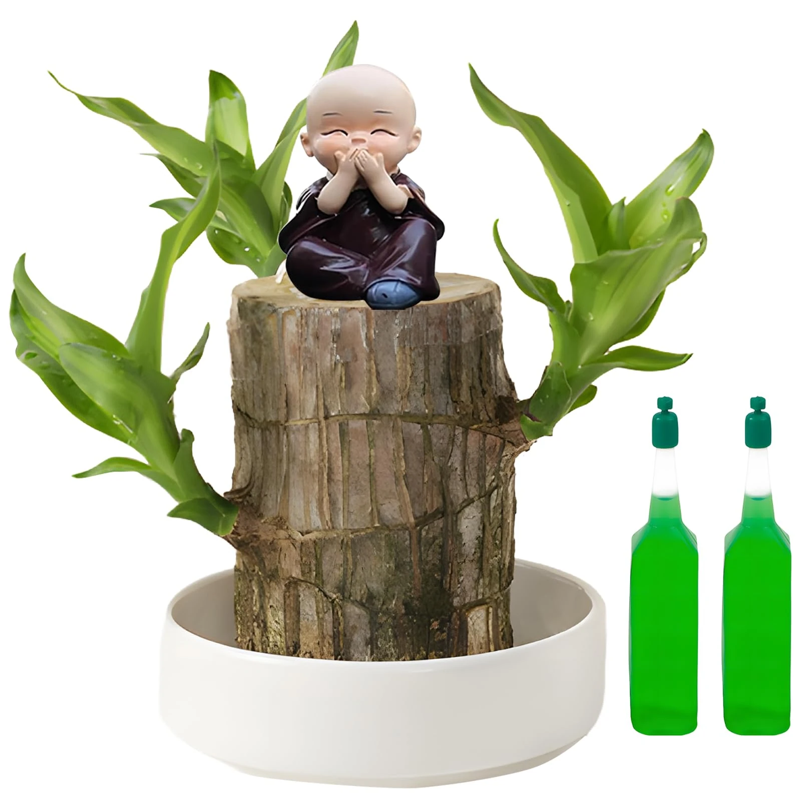 Mini Brazil Lucky Wood, Brazil Lucky Wood with Monk Statues, Bonsai Tree Indoor Plant, Nutrient Solution, Hydroponic Potted Plant, Perfect for Home, Office