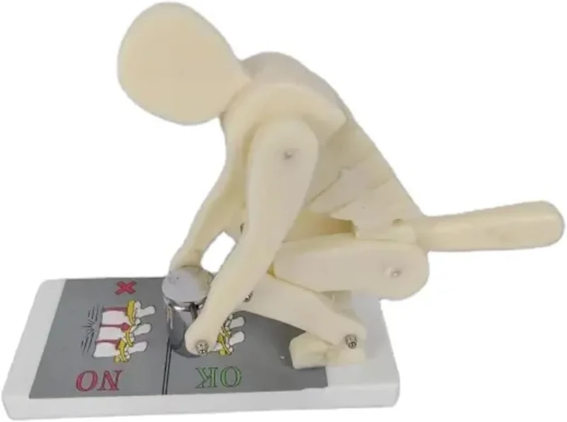 RMJEZTQD Human Body Bending Weight Lifting Spine Force Demonstration Model, Lumbar Spine Protection Model, Correct Posture Demonstration Model, for Medical Science Education & Anatomy. - Image 1