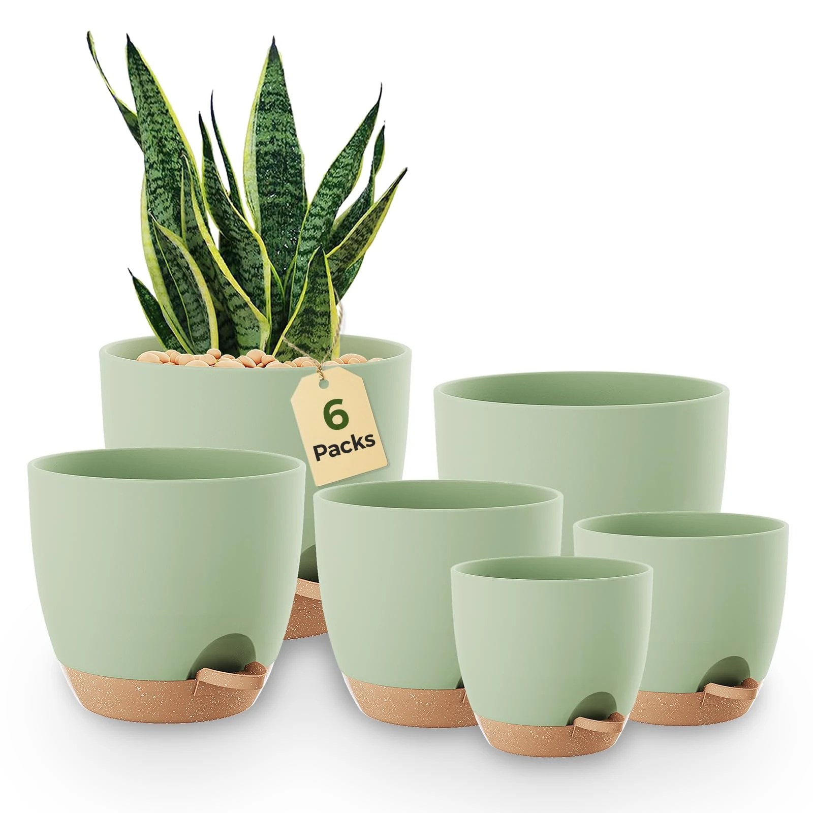 Bamworld Self Watering Plant Pots Indoor Set of 6, Plastic Flower Pots 12.7/14/15.2/16.5/17.8/20.3 cm with Saucers and Drainage Holes for Outdoor Windowsill Garden Decor（Green）