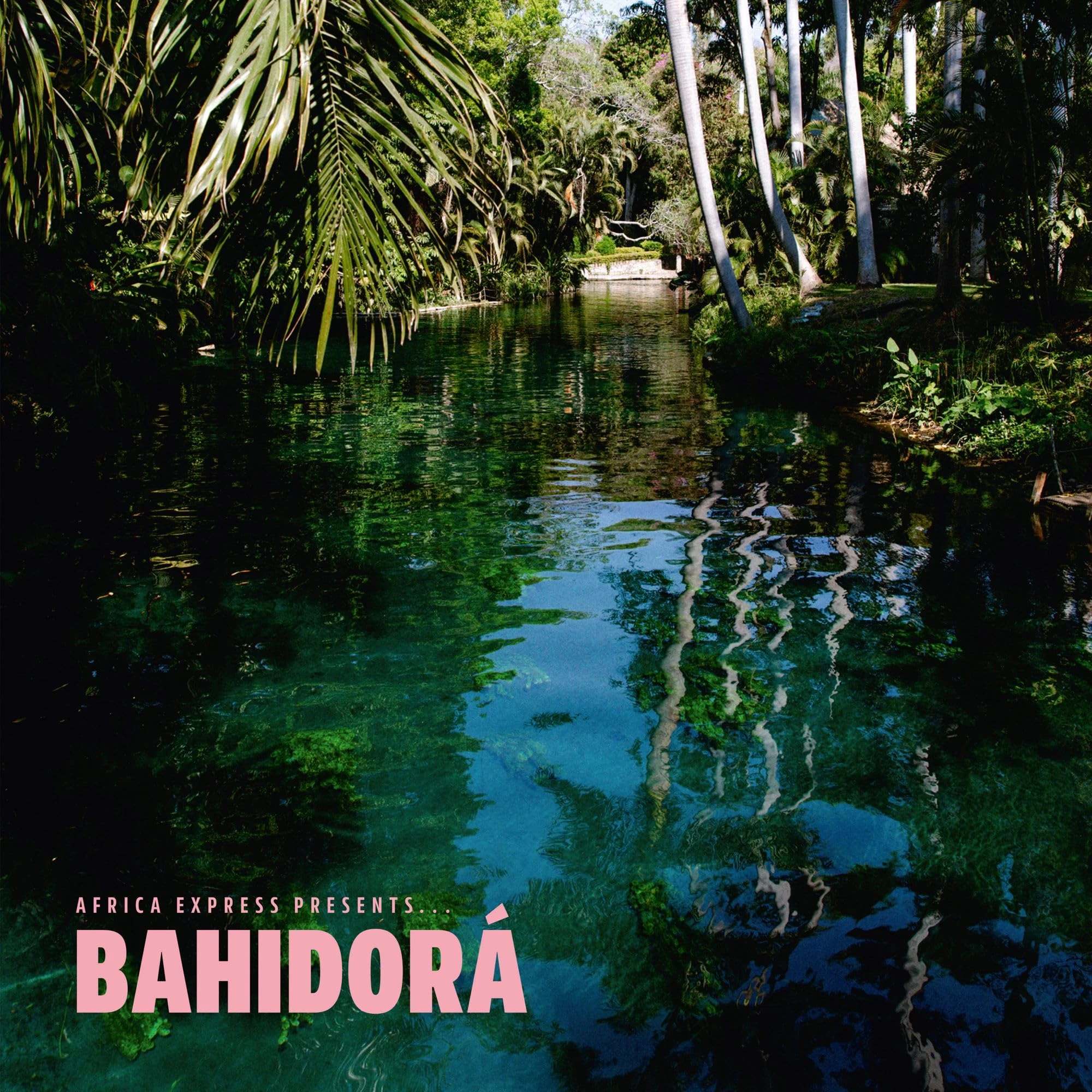 Africa Express Presents… Bahidora