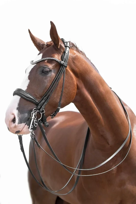 HKM Kate Bridle Black Cob