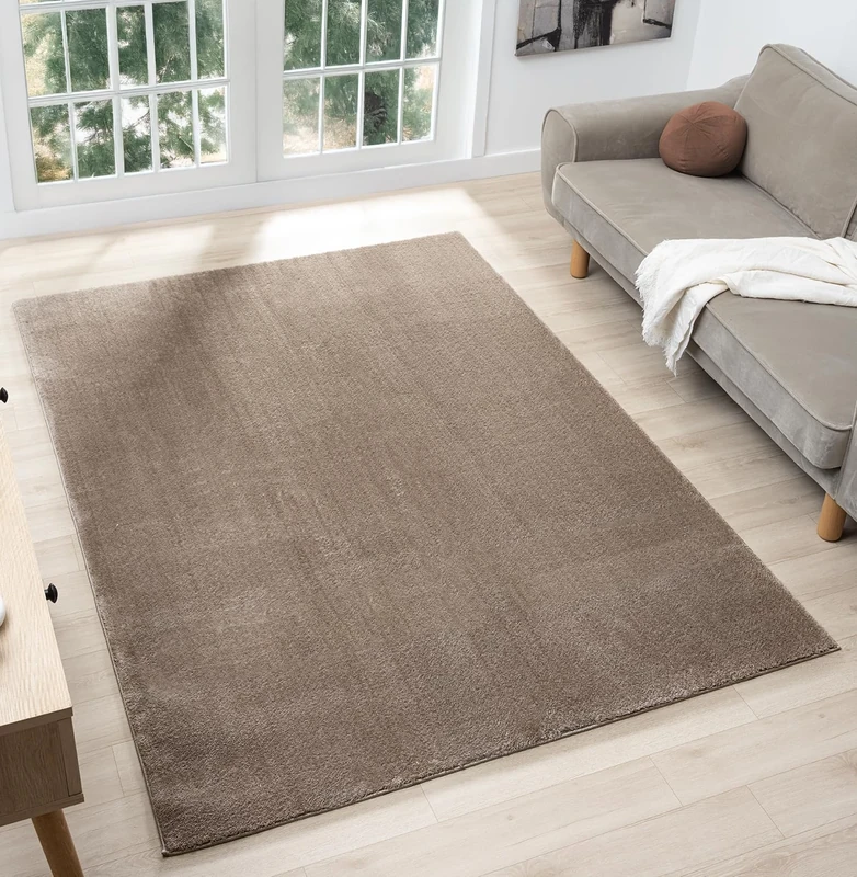 Comfy Washable Modern Living Room Rug Polyester Plain Indoor Area Rug with Low Pile - Anti-Slip Felt Backing SuperSoft Carpet Bedroom-Hallway, Dark Beige, 160x220 cm