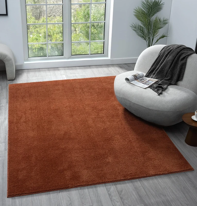 Comfy Washable Modern Living Room Rug Polyester Plain Indoor Area Rug with Low Pile - Anti-Slip Felt Backing SuperSoft Carpet Bedroom-Hallway, Terracotta, 160x220 cm