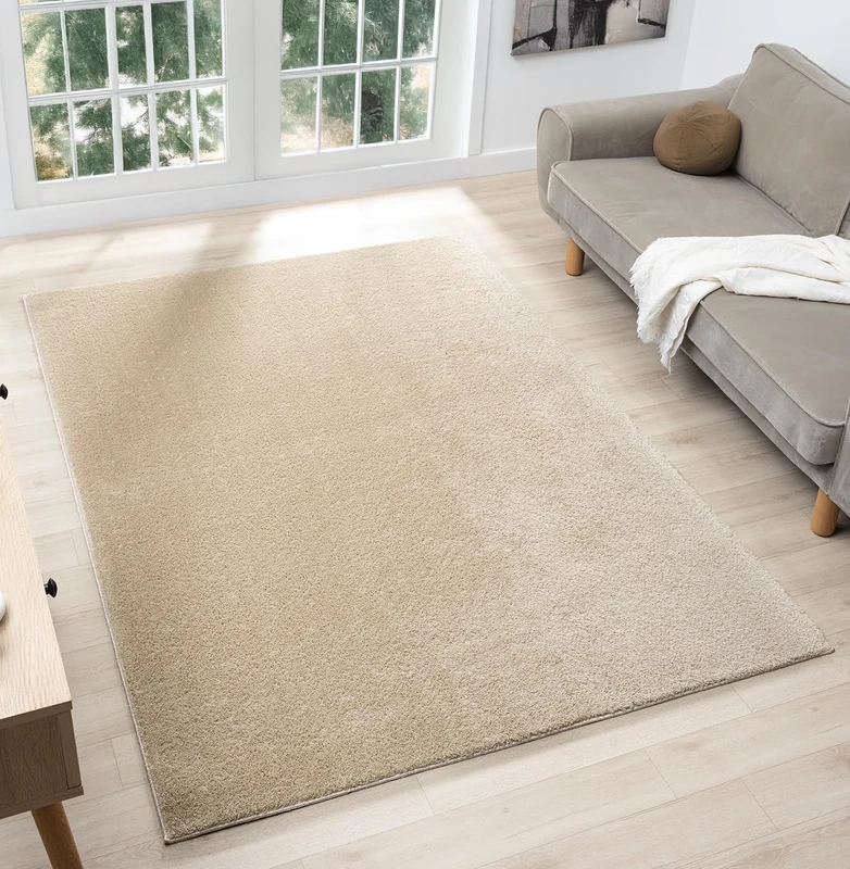 Comfy Washable Modern Living Room Rug Polyester Plain Indoor Area Rug with Low Pile - Anti-Slip Felt Backing SuperSoft Carpet Bedroom-Hallway, Light Beige, 160x220 cm