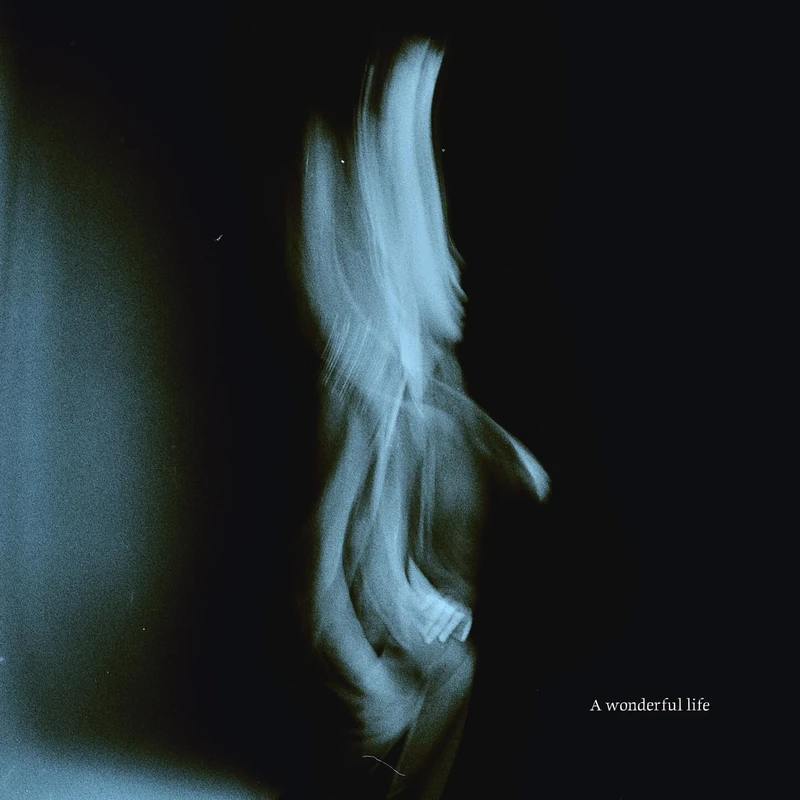 A Wonderful Life [Explicit]