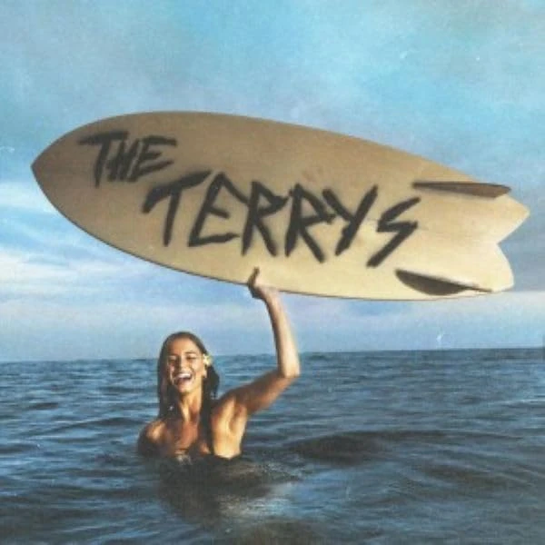 THE TERRYS (YELLOW VINYL) [VINYL]