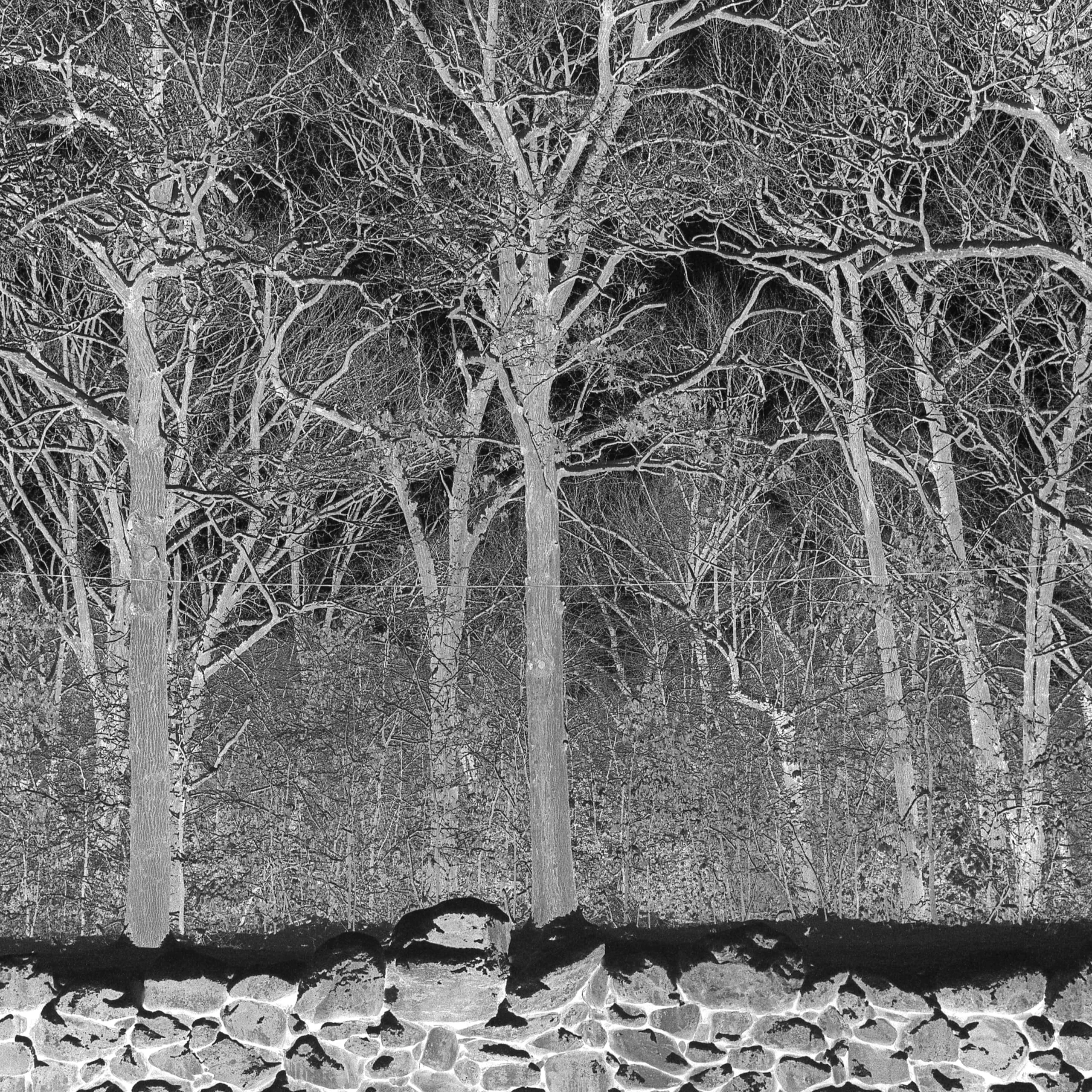 Sunshine and Balance Beams