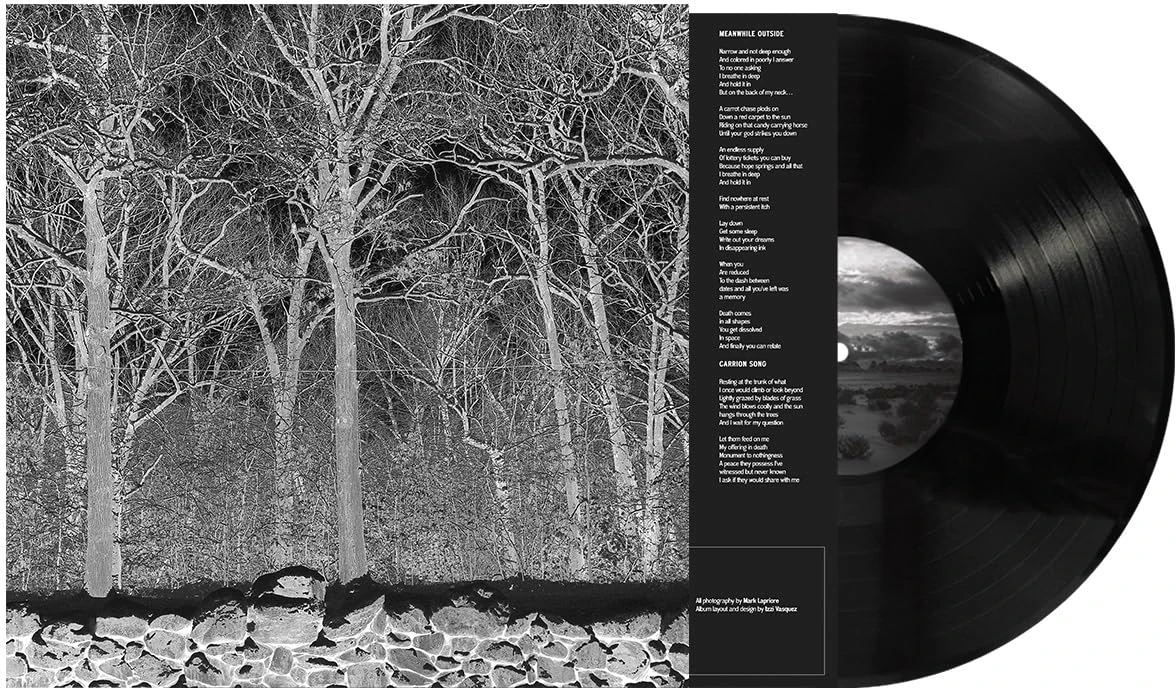 Sunshine and Balance Beams [VINYL]