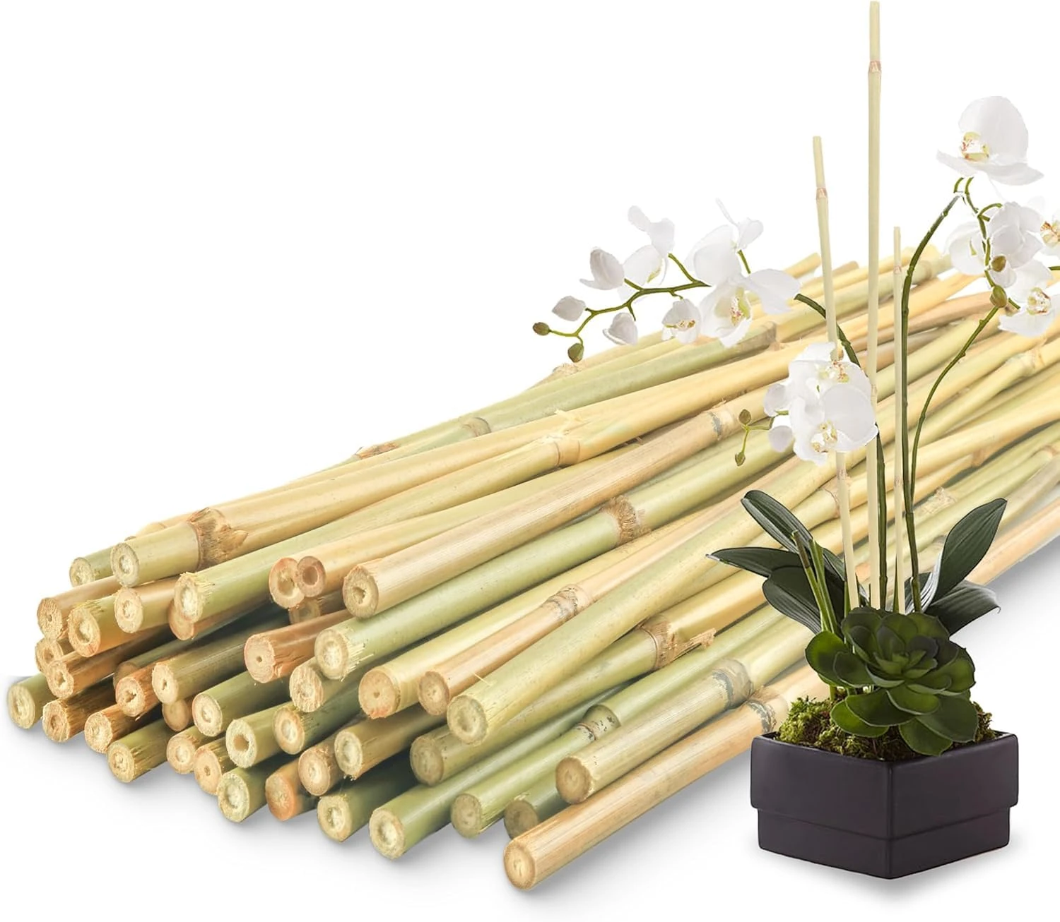 CHEOAR 115cm/30pcs Bamboo Sticks For Plants-Bamboo Canes,Garden Bamboo Canes Strong Heavy Duty Bamboo Plant Support Garden Canes Poles for Tomato Vegetables Beans Trees Potted Climbing Plants(8-10mm)