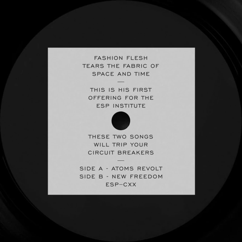 fashion flesh-atoms revolt 12" [VINYL]