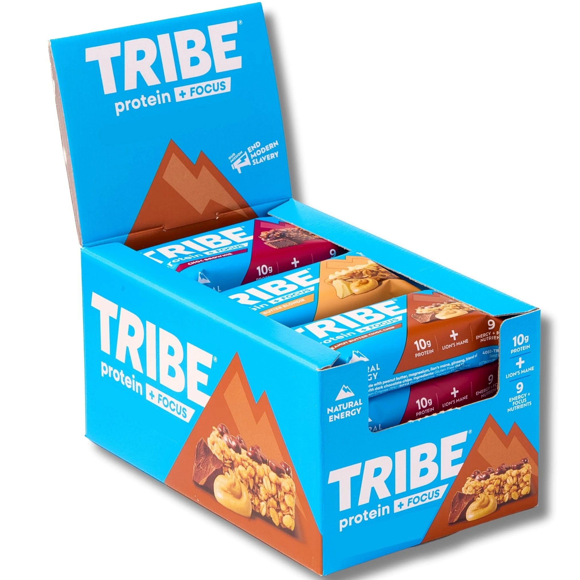 TRIBE Protein + Focus Flapjack Bar - Bestsellers Variety Pack- High Protein Snack - 9 Energy & Focus Nutrients - 10g Protein, Lions Mane, Plant Based, Vegan Snack & Gluten Free (60g x 12 Bars)