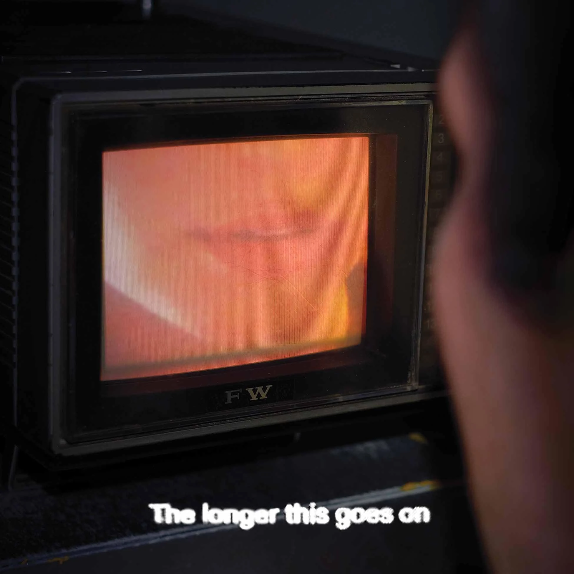 The Longer This Goes On [VINYL]