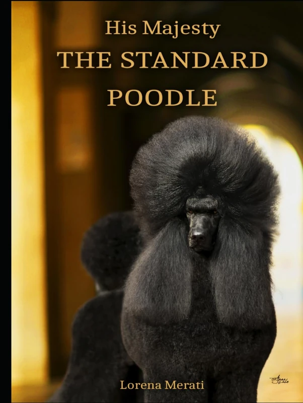 His Majesty THE STANDARD POODLE