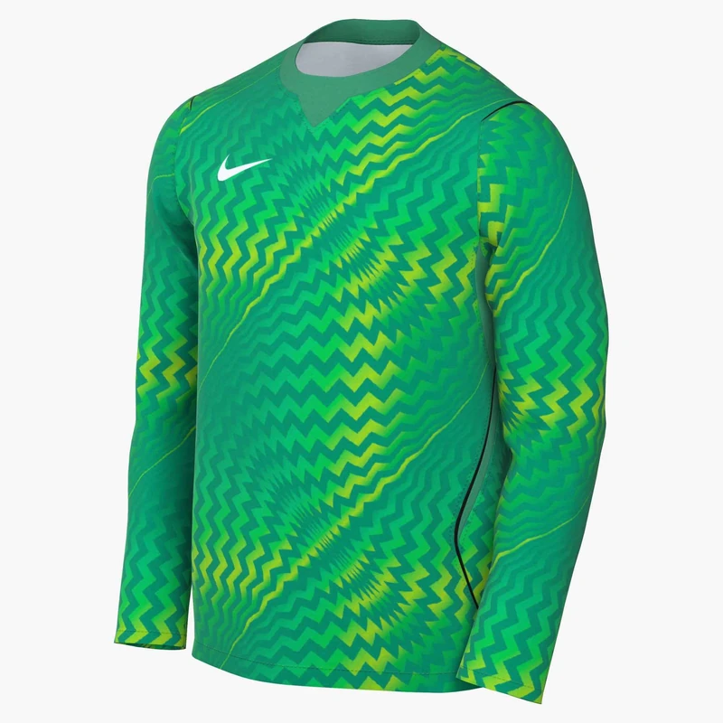 NIKE DRI-FIT GARDIEN VI – Goalkeeper Jersey LS Multi-Coloured