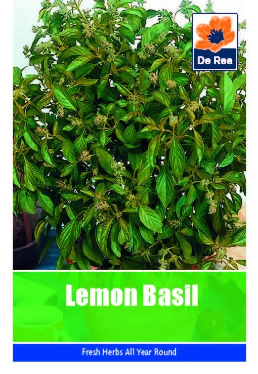 Vegetable Seeds for Growing Lemon Basil 245 Seeds Grow Your Own Garden Vegetable Salad Herb Seed