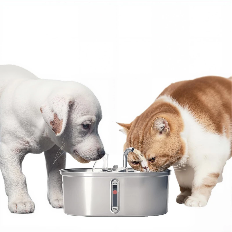 GarveeMore 3.2L Water Fountain for Cats, Automatic Stainless Steel Water Fountain with Water Level Window, Activated Carbon Filter, USB Silent Dual Output Fountains for Cats and Cats - Image 1