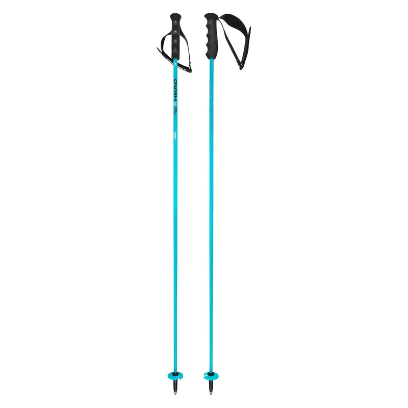 HEAD Worldcup Rebels Carbon Speed Blue