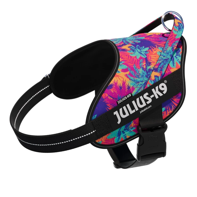 Julius-K9 Power&More Dog Harness with Patches, Size: XL, Vibe