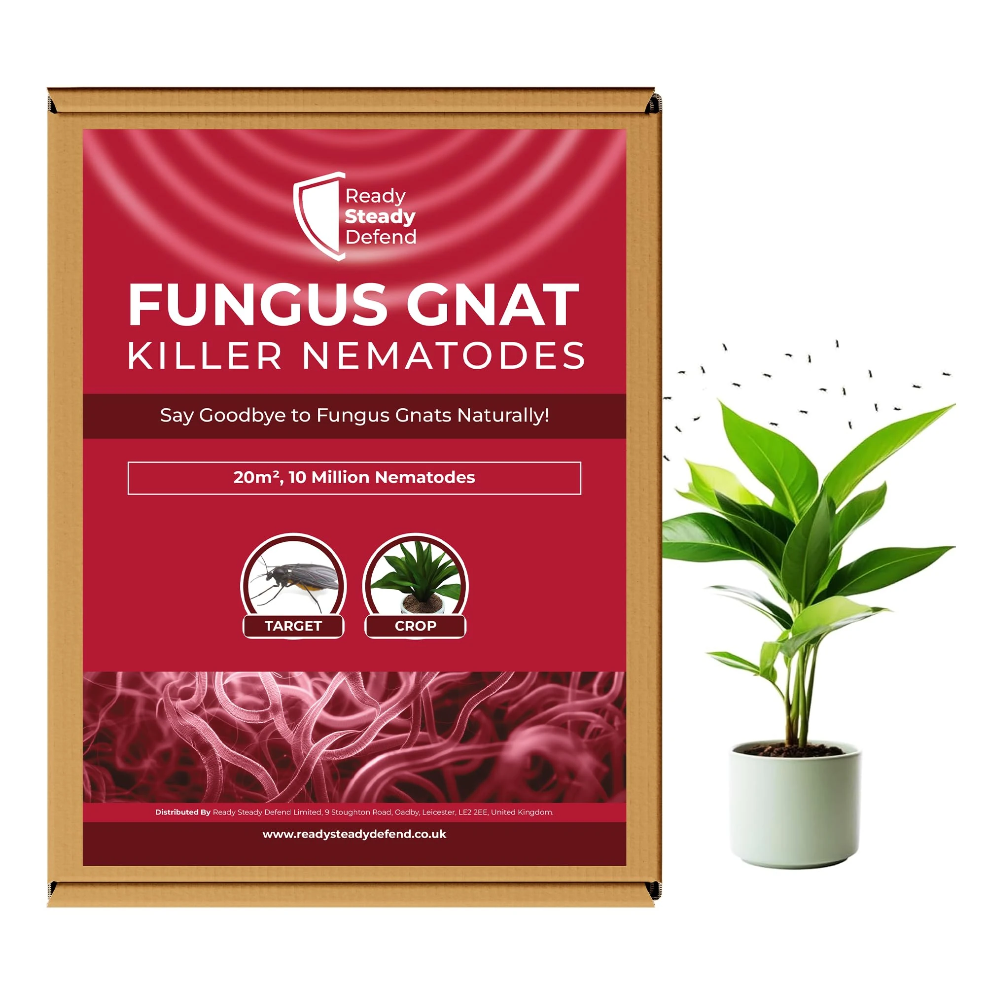Fungus Gnat Killer Nematodes 20 m² (10 million) coverage for Indoor Plants - Effective Biological Control, Ideal Gnats Killer Indoor Plants, Comprehensive Scairid Fly Killer for Houseplants