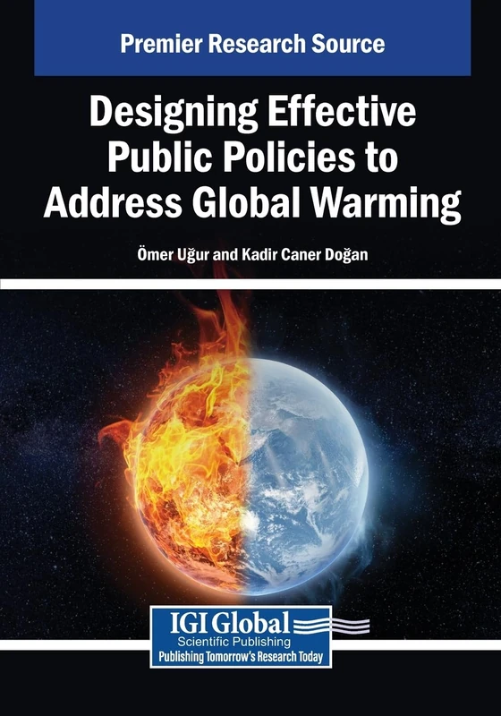 Designing Effective Public Policies to Address Global Warming