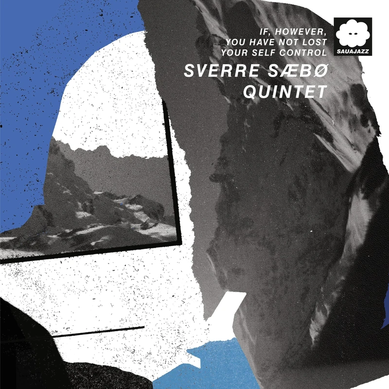 If, However, You Have Not Lost Your Self Control [VINYL] - Image 1