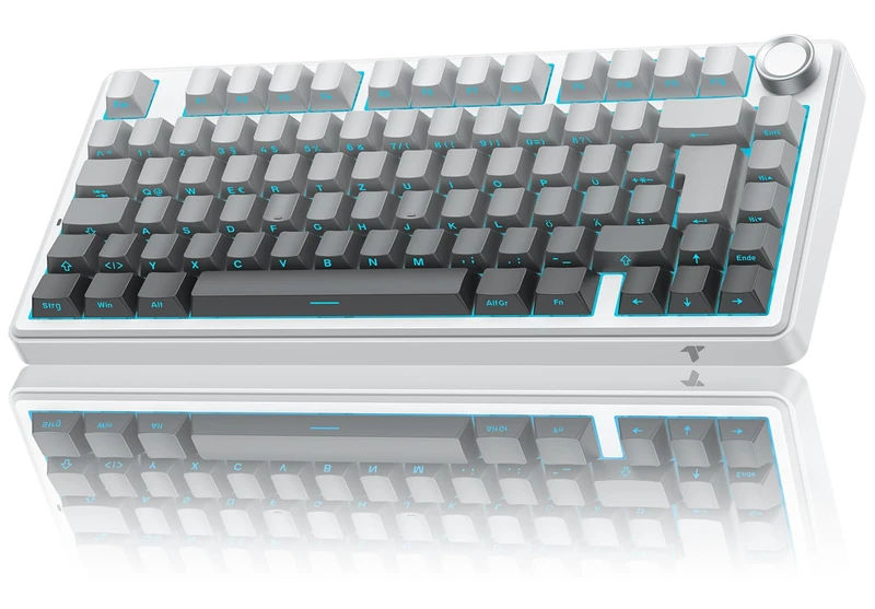 TECURS MK209 75% Mechanical Gaming Keyboard - ISO DE Layout