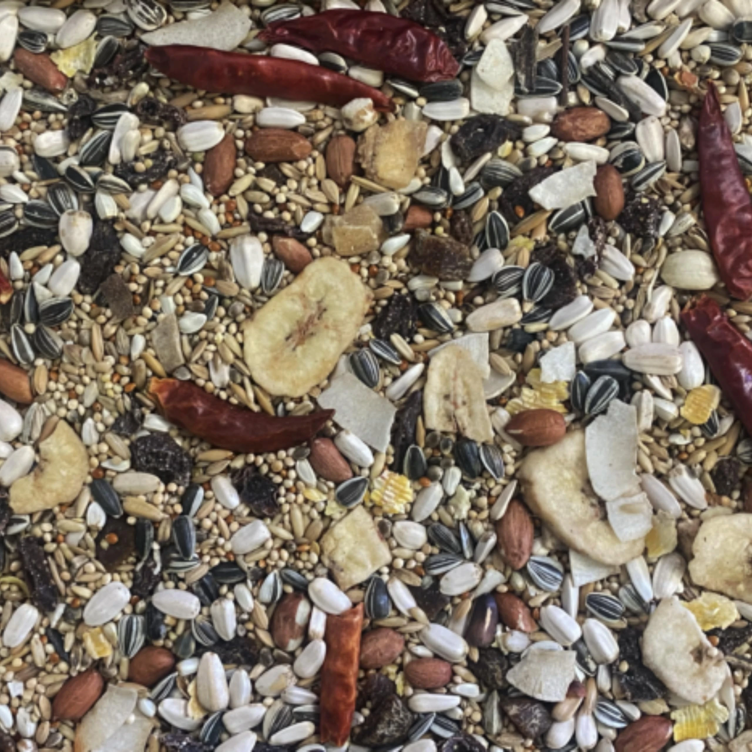 10kg Johnston & Jeff Premium Fruity Parakeet Mixture Parakeet Food with Fruits, Seeds & Grains | Ideal for Smaller Parrot Species