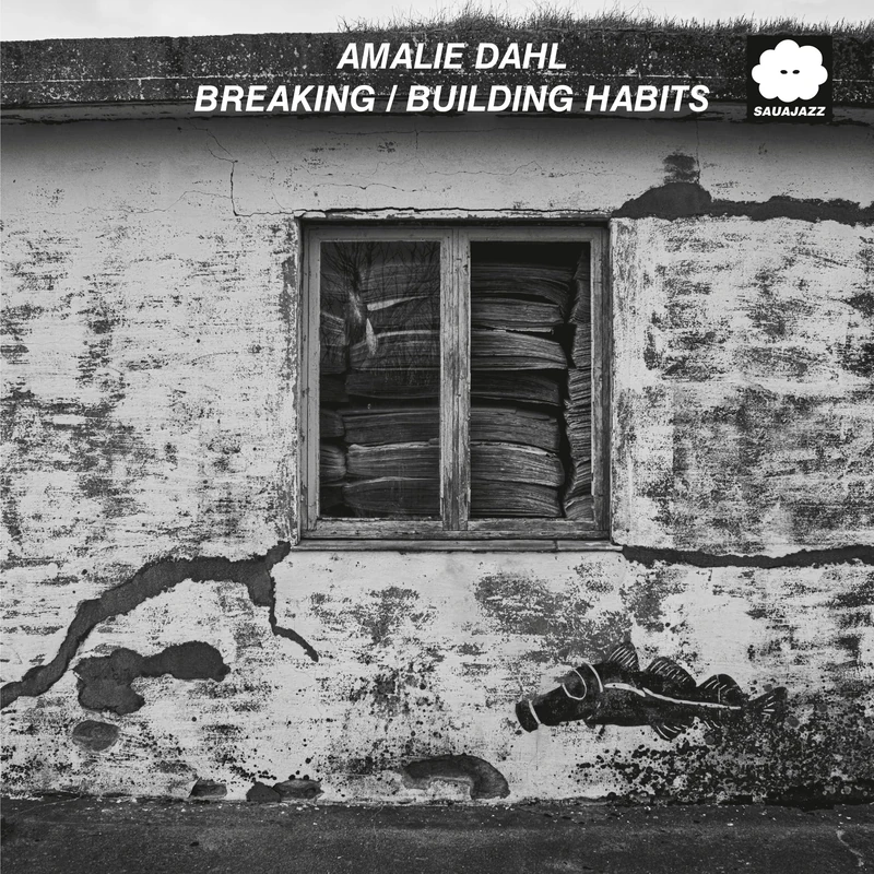 Breaking/Building Habits [VINYL]