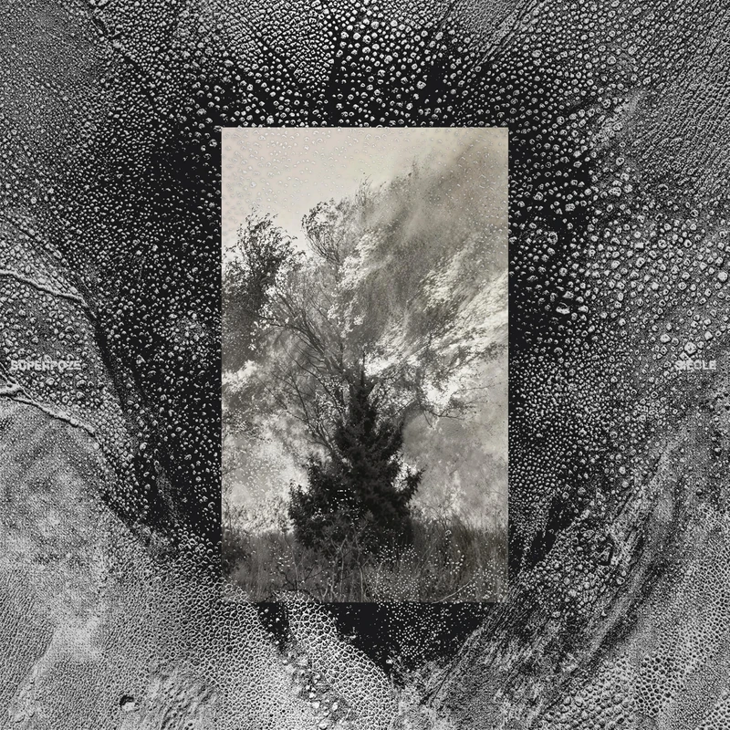 Siècle