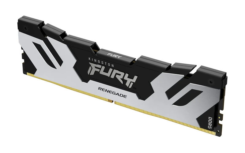 Kingston FURY Renegade DDR5 Silver/Black XMP 24GB 8800MT/s CL42 CUDIMM Desktop Gaming Memory Single Module - KF588CU42RS-24