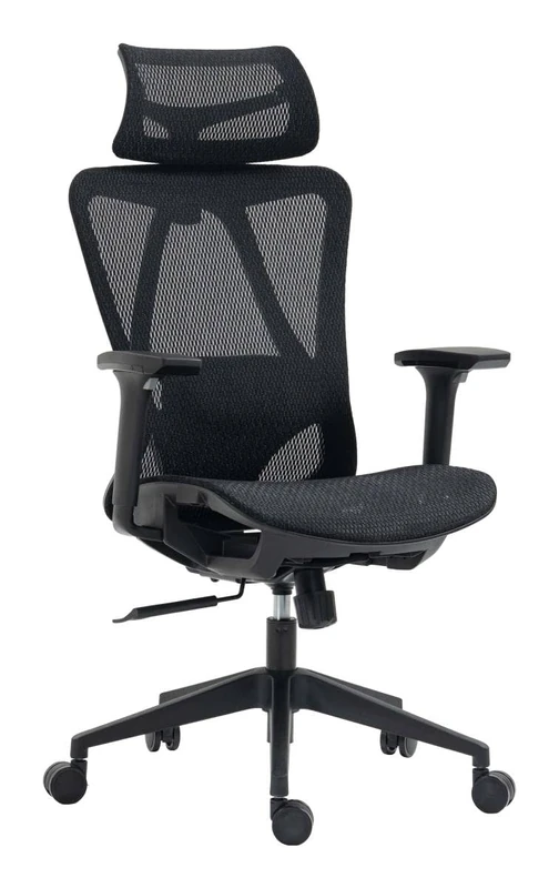 OFFICER PRODUCTS EGINA office chair with adjustable armrests/ergonomic desk chair with mesh cover/lumbar support/ 3D armrests, black color/office chair/PU casters