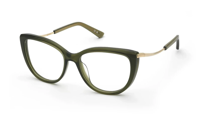 GRUPO OPTICO 1910 PLASTIC OPT;FRAME Nina Ricci - MAT: Cellulose acetate-C: TRANSP;GREEN D: 140x16 - Female