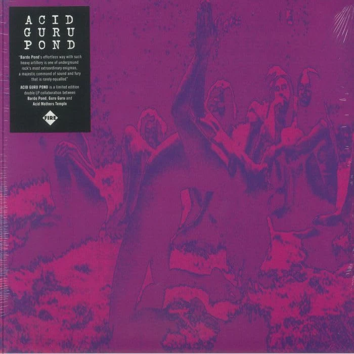 Acid Guru Pond [VINYL]