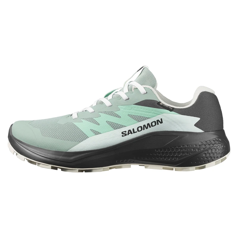 Salomon X ULTRA 360 LEATHER Gore-tex Waterproof Men's Trail running Shoes