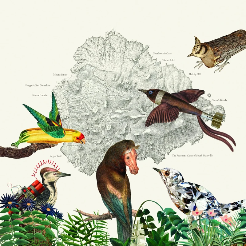 The Birds of Marsville