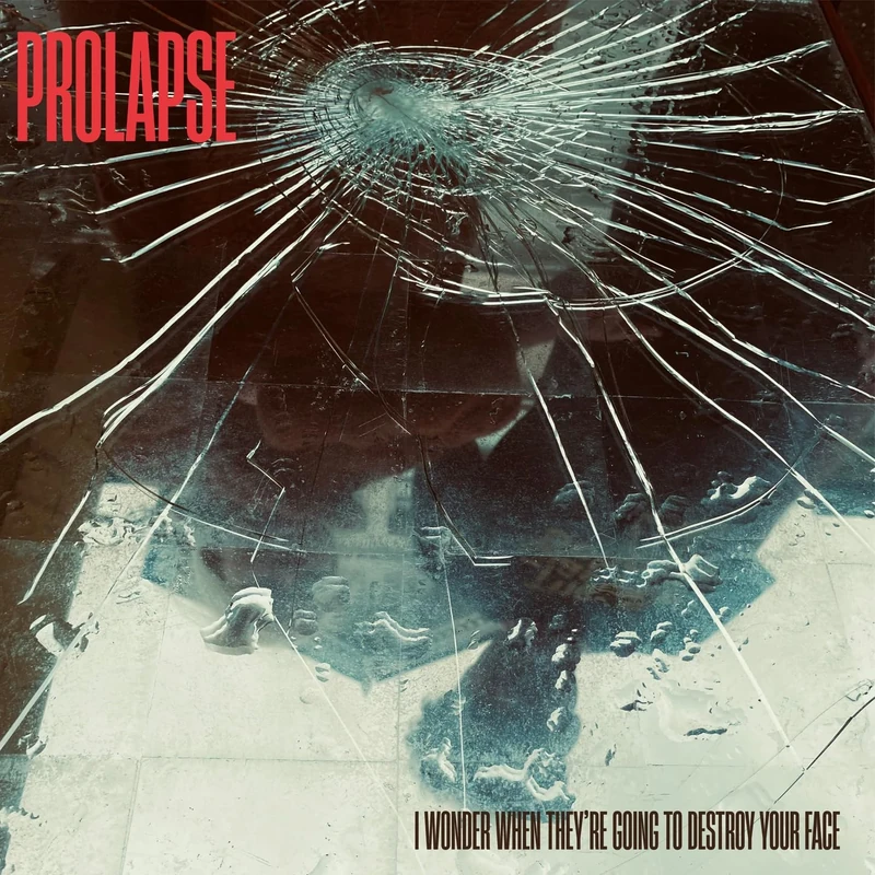 I Wonder When They're Going to Destroy Your Face - Rock Digital Album