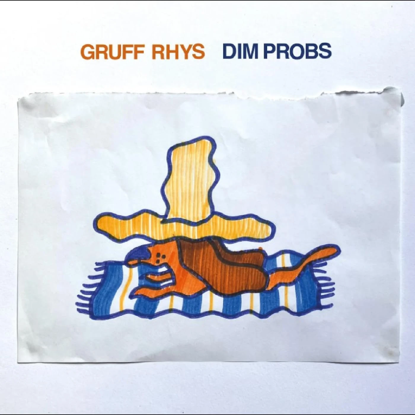 Gruff Rhys - Dim Probs [VINYL]