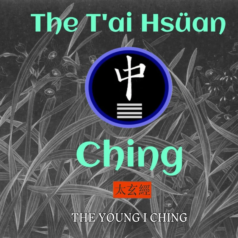 The T'ai Hsüan Ching: game and picture book