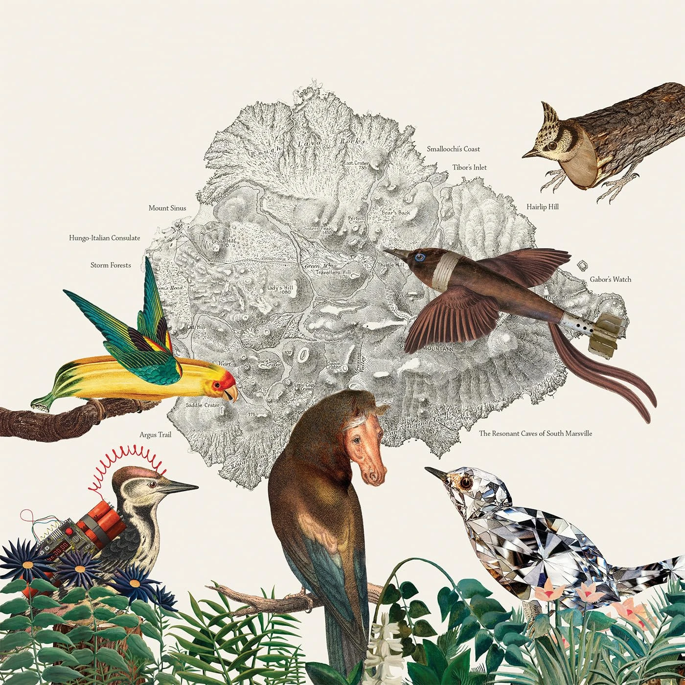 The Birds Of Marsville [VINYL]