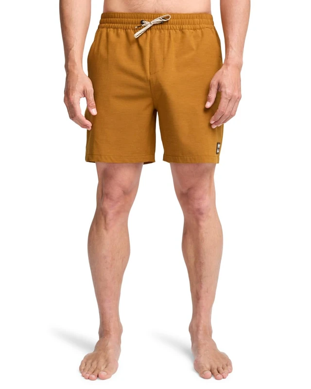 BILLABONG Every Other Day 17"- Layback Swim Shorts for Men - Swim Shorts - Men - Brown