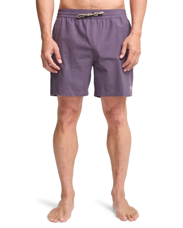 BILLABONG Every Other Day 17"- Layback Swim Shorts for Men - Swim Shorts - Men - Purple - Image 1