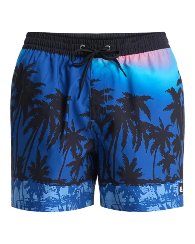 Quiksilver Men's Everyday Printed Volley 15 Board Shorts, Monaco Blue THERMOTROPICS, S